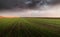 Agricultural landscape, arable crop fields