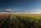 Agricultural landscape, arable crop fields