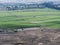 Agricultural Landscape, Crop Spraying, Napa Valley, California