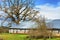 Agricultural landscape with decaying barn