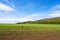 Agricultural landscape with growing crops in early summer