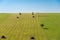 Agricultural landscape, haystacks in row, single tree, blue sky