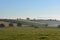 Agricultural landscape in the Howardian Hills, UK