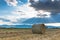 Agricultural landscape image, round hay bales on field, vibrant clouds with divine lights