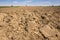 Agricultural landscape, plowed field.