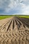 Agricultural landscape, plowed field.