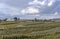 Agricultural landscape in rural Oregon.