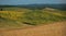 Agricultural landscape. South of Slovakia