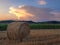 Agricultural landscape with storm cloud in the distance