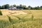 Agricultural landscape in the summertime in Normandy countryside