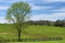 Agricultural Landscape view of rural Tennessee