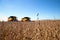 Agricultural machine harvesting soybean field.