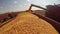 Agricultural Machinery in Action During Corn Harvest