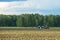 agricultural machinery driving across field with harvest