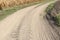 Agricultural machinery tracks on a rural road