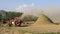 Agricultural machinery working in the rice fields to threshing the rice crop