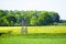 Agricultural nature near Ahlen