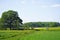 Agricultural nature near Ahlen