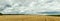 Agricultural panorama wheat and corn fields