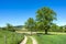 Agricultural path in the landscape of the Monts du Lyonnais in France