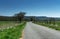 Agricultural path at the nature sanctuary near the german city called Hallenberg