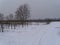 Agricultural path, , to the left fruit trees in winter with snow