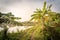 Agricultural plantation at countryside of Vietnam with banana trees and pond