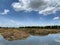 Agricultural plantations under the cloud background