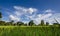 Agricultural plots landscape