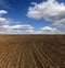 Agricultural ploughed field