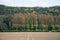 Agricultural ploughed field and forest