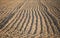 Agricultural ploughed field and soil in spring