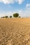 Agricultural ploughed land field in desert