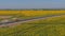 Agricultural region, europe. Aerial photography, drone shot. Cultivation land.