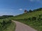 Agricultural road leading through vineyards with green leaves below medieval castle Burg Wildeck in Germany.