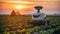 Agricultural robot tends field at sunset, showcasing modern farming practices