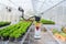Agricultural robotics industry gardening planting vegetables