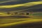 Agricultural Rolling Spring / Autumn Landscape.Natural Landscape In Brown And Yellow Color. Waved Cultivated Row Field With Beauti