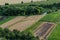 Agricultural Rolling Spring Autumn Landscape. Natural Landscape In Brown And Yellow Color. Waved Cultivated Row Field And Tree.