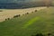 Agricultural Rolling Spring Autumn Landscape. Natural Landscape In Brown And Yellow Color. Waved Cultivated Row Field And Tree.