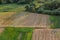 Agricultural Rolling Spring Autumn Landscape. Natural Landscape In Brown And Yellow Color. Waved Cultivated Row Field And Tree.