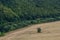 Agricultural Rolling Spring Autumn Landscape. Natural Landscape In Brown And Yellow Color. Waved Cultivated Row Field And Tree.