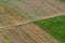 Agricultural Rolling Spring Autumn Landscape. Natural Landscape In Brown And Yellow Color. Waved Cultivated Row Field And Tree.