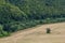 Agricultural Rolling Spring Autumn Landscape. Natural Landscape In Brown And Yellow Color. Waved Cultivated Row Field And Tree.