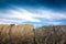 Agricultural scene with alfalfa rolls in the argentinian countryside