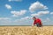 Agricultural scene, farmer or agronomist inspect wheat field