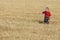 Agricultural scene, farmer or agronomist inspect wheat field