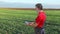 Agricultural scene, farmer or agronomist inspect wheat field