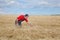 Agricultural scene, farmer or agronomist inspect wheat field