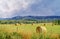 Agricultural scene with round hay bales in a field with mountains in the background.